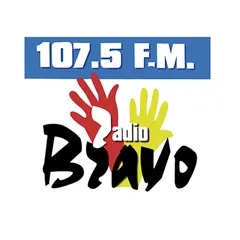 RADIO BRAVO FM