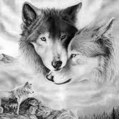 Love Wolf