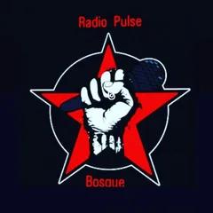 Radio Pulse Bosque