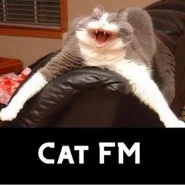 Cat FM Radio