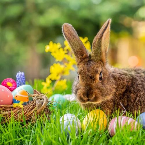 Feeste (14): Misleiding van "Easter"