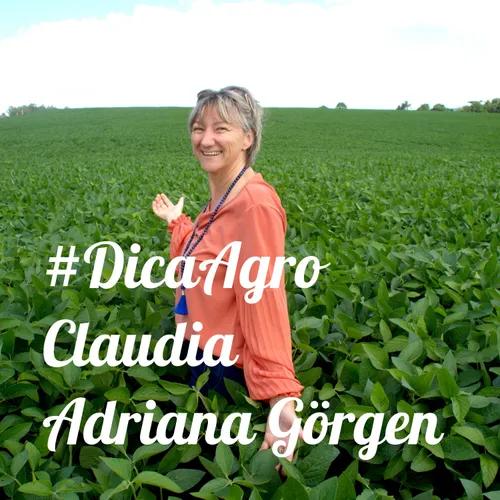 #DicaAgro com Claudia Adriana Görgen