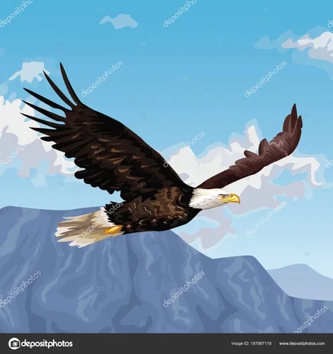 visión de águila