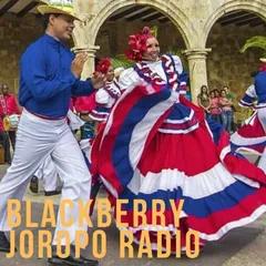 BlackBerry Joropo Radio