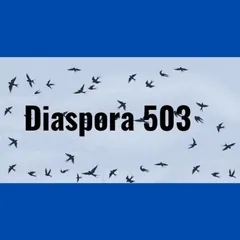 DIASPORA 503 - DEPARTAMENTO 15 EL SALVADOR