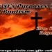Christ's Purposes (Pt. 8)  A Baptism (AFMIGB #74)