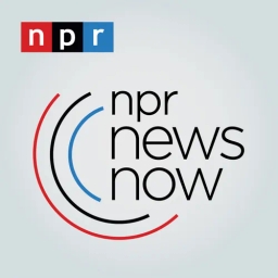 NPR News Now