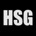 HSG FLAVOUR - HSG SONG 2.0