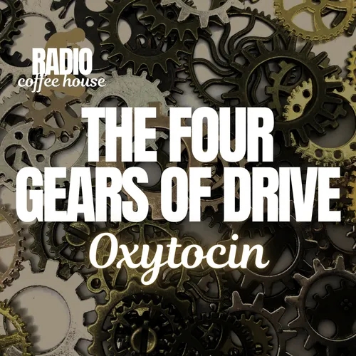 Oxytocin Unlocked: Fellowship, Generosity, and the Chemistry of Connection