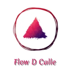 Flow D Calle radio
