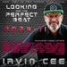 Looking for the Perfect Beat 2024-11 - RADIO SHOW by Irvin Cee