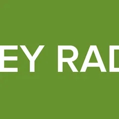 GREY RADIO