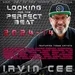 Looking for the Perfect Beat 2024-14 - RADIO SHOW by Irvin Cee