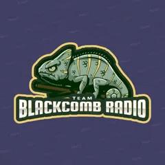 Blackcomb Radio