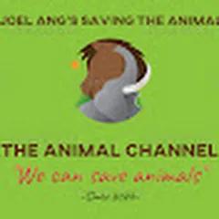 The Animal Channel