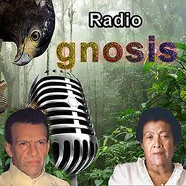 Radio Gnosis