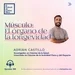 Músculo: El órgano de la longevidad, con Adrián Castillo. Episodio 300