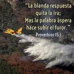 51 - Joyas de Sabiduría - Con quietud apaga un "incendio" [Proverbios 15:1-4]