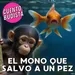 El mono que salvo a un pez - Cuentos Budistas