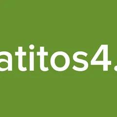 gatitos4.0