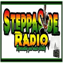 SteppaSide 357Radio