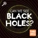 Can We See Black Holes?