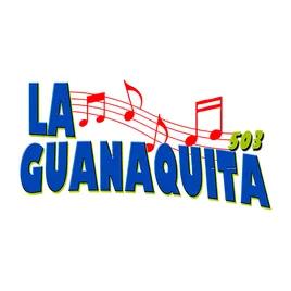La Guanaquita 503