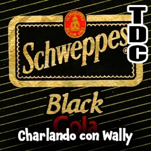TDC Podcast - 162 - Charlando con Wally: "She's The One"s y chistes deportivos
