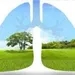 "A través de acciones reducimos la contaminación del aire y promovemos la salud" 
