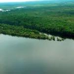 A Amazônia caminha para o "ponto de não retorno"? Especialista explica!