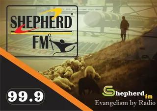 SHEPHERD ZENO RADIO