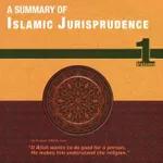 Episode 144 - 03 Wednesdays: A Summary Of Islamic Jurisprudence