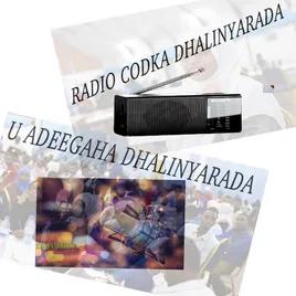 Radio Codka Dhalinyarada