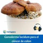 Ganoderma lucidum ¿cura el cáncer de colon?