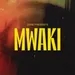 Mwaki (HN1 Remix)[FREE DOWNLOAD]