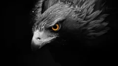 El Despertar del Aguila