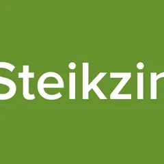 Steikzin
