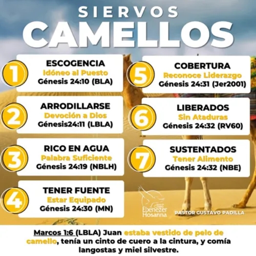 Siervos Camellos-Pastor Gustavo Padilla
