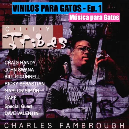VINILOS PARA GATOS - Ep. 1 - City Tribes (1995) de Charles Fambrough