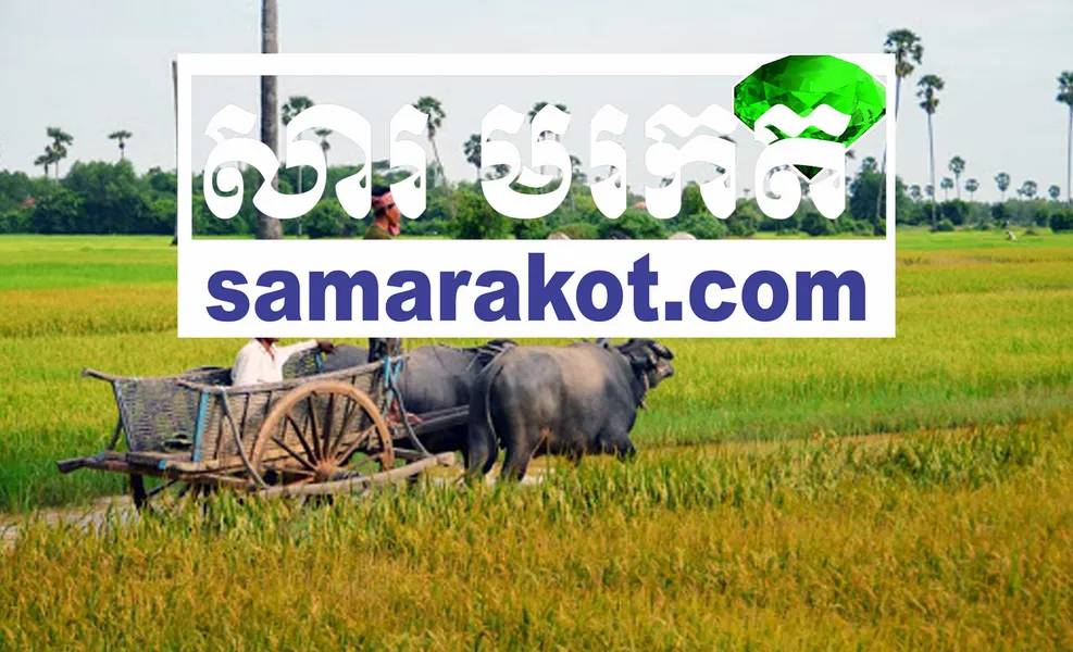 Samarakot