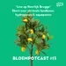 BLOEMPOTCAST #13 [LIVE] - EBERT