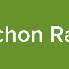 Mechon Radio