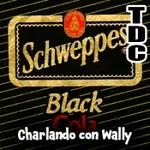 TDC Podcast - 162 - Charlando con Wally: "She's The One"s y chistes deportivos