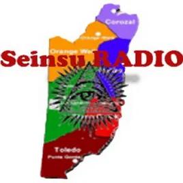 Seinsu Radio