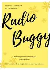 BUGGY RADIO