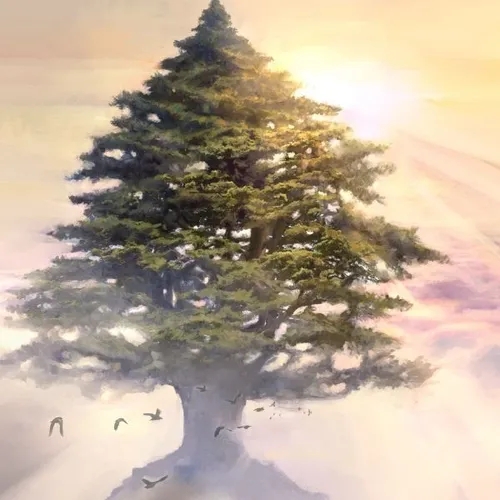 TEACHING BOX 8A—Messianic Prophecy—The Majestic Cedar Tree