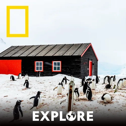 Antarktis: Saisonarbeit in der Antarktis und alleine durchs ewige Eis