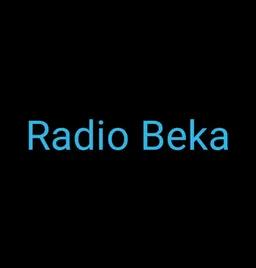 Radio Rinia