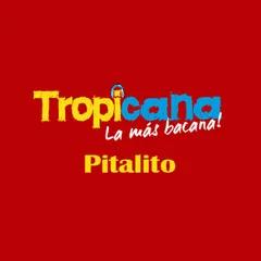 Tropicana Pitalito