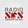 Radio Saveur Du Sel